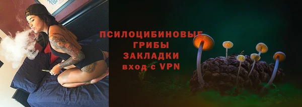 PSILOCYBIN Арсеньев