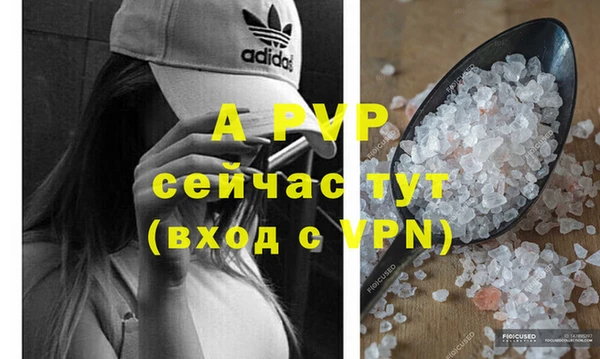 гидра Аркадак