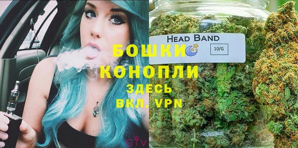 PSILOCYBIN Арсеньев