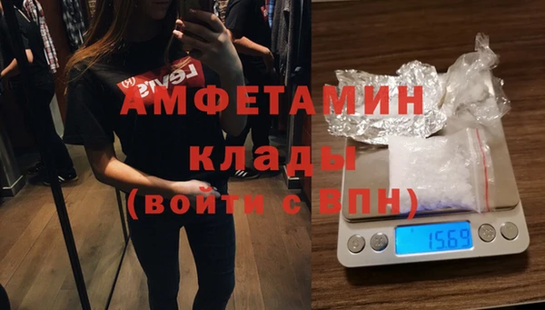 гидра Аркадак