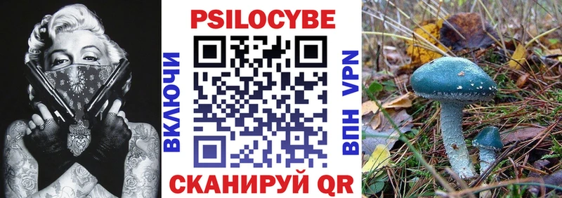 Псилоцибиновые грибы Psilocybe  закладка  Армянск 